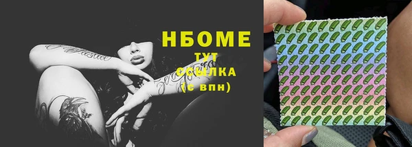 стаф Аркадак