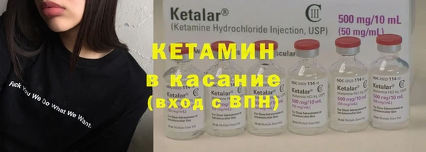 стаф Аркадак