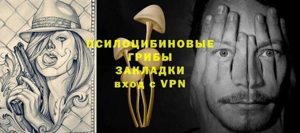 спайс Арсеньев